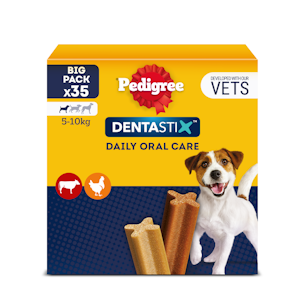 Pedigree Dentastix Small Monipakkaus 5x110g