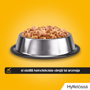 Pedigree Adult 12x100g hyytelölajitelma