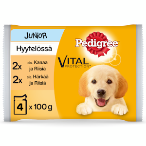 Pedigree Junior annospussi lajitelma 4x100g