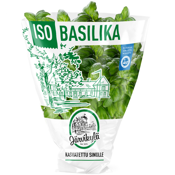 Järvikylä jättibasilika Suomi