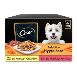 Cesar hyytelölajitelma 4x100g Kanaa & Porkkanaa, Häränlihaa & Kasviksia