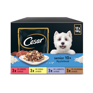 Cesar Senior annospussilajitelma hyytelössä 12x100g