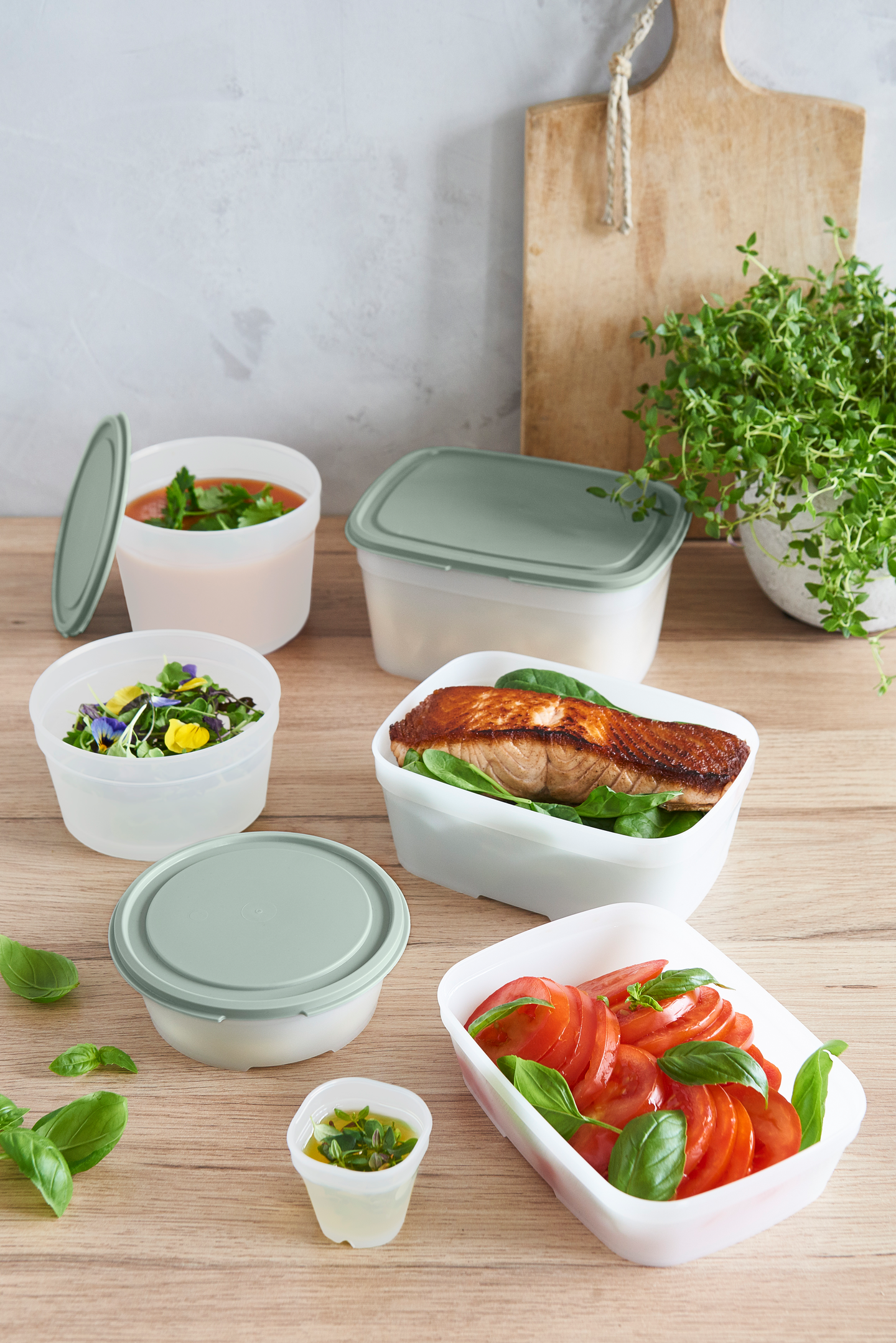 GastroMax Bio rasia 4 x 0,5 dl vihreä