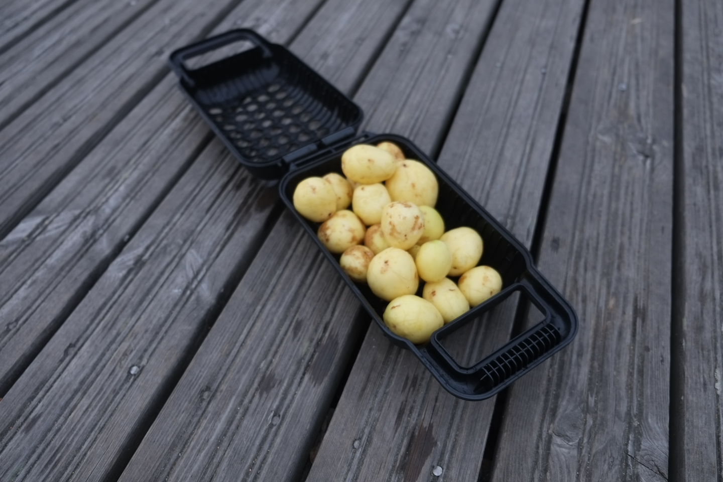 Potturi perunapesuri