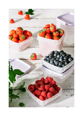 SmartStore Frost pakastusrasia 5 x 0,5 l laventeli