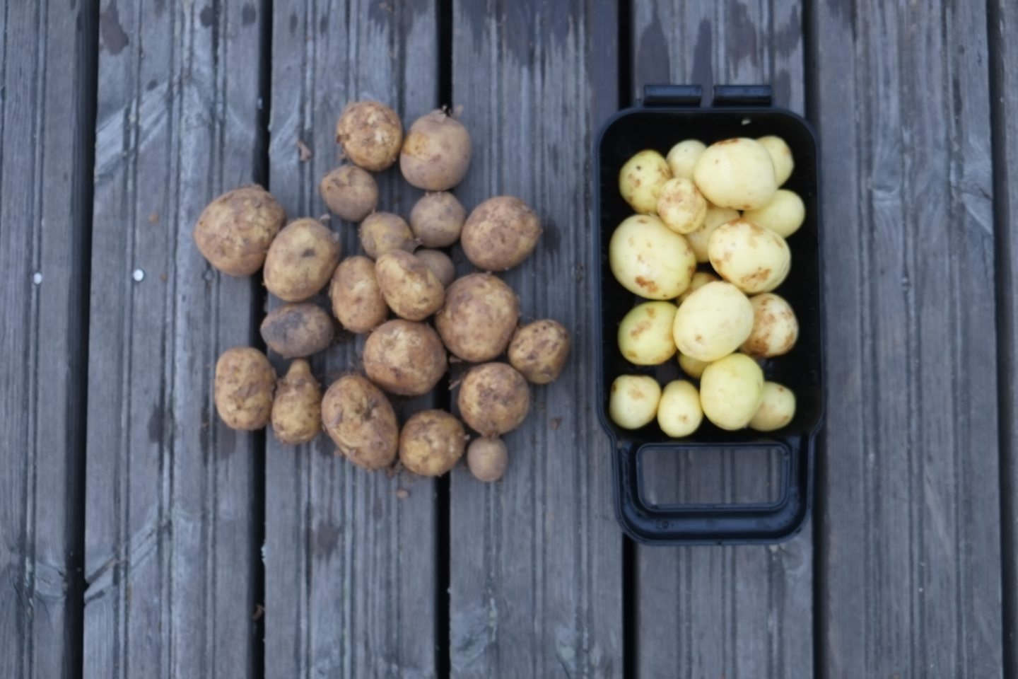 Potturi perunapesuri