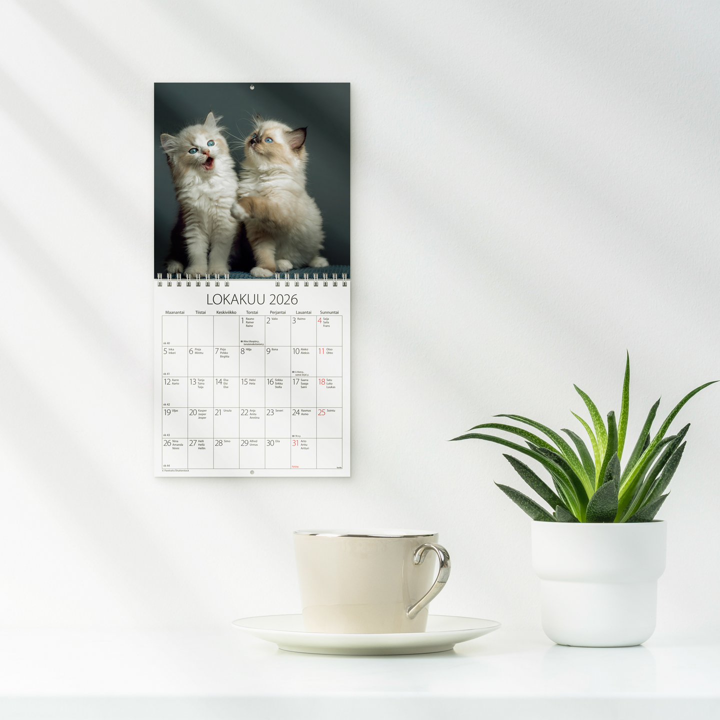 Burde seinäkalenteri 2026 kissanpennut