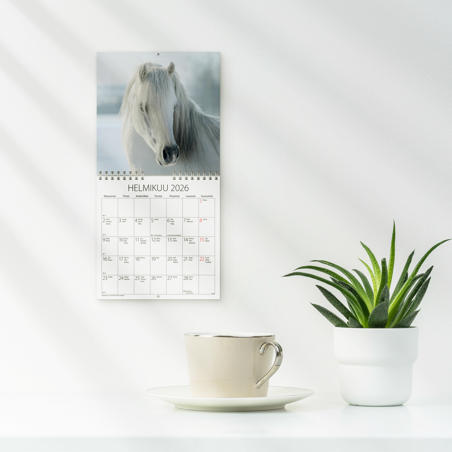 Burde seinäkalenteri 2026 ponit