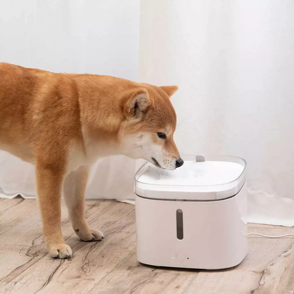 Xiaomi Smart Pet Fountain -lemmikin juoma-automaatti