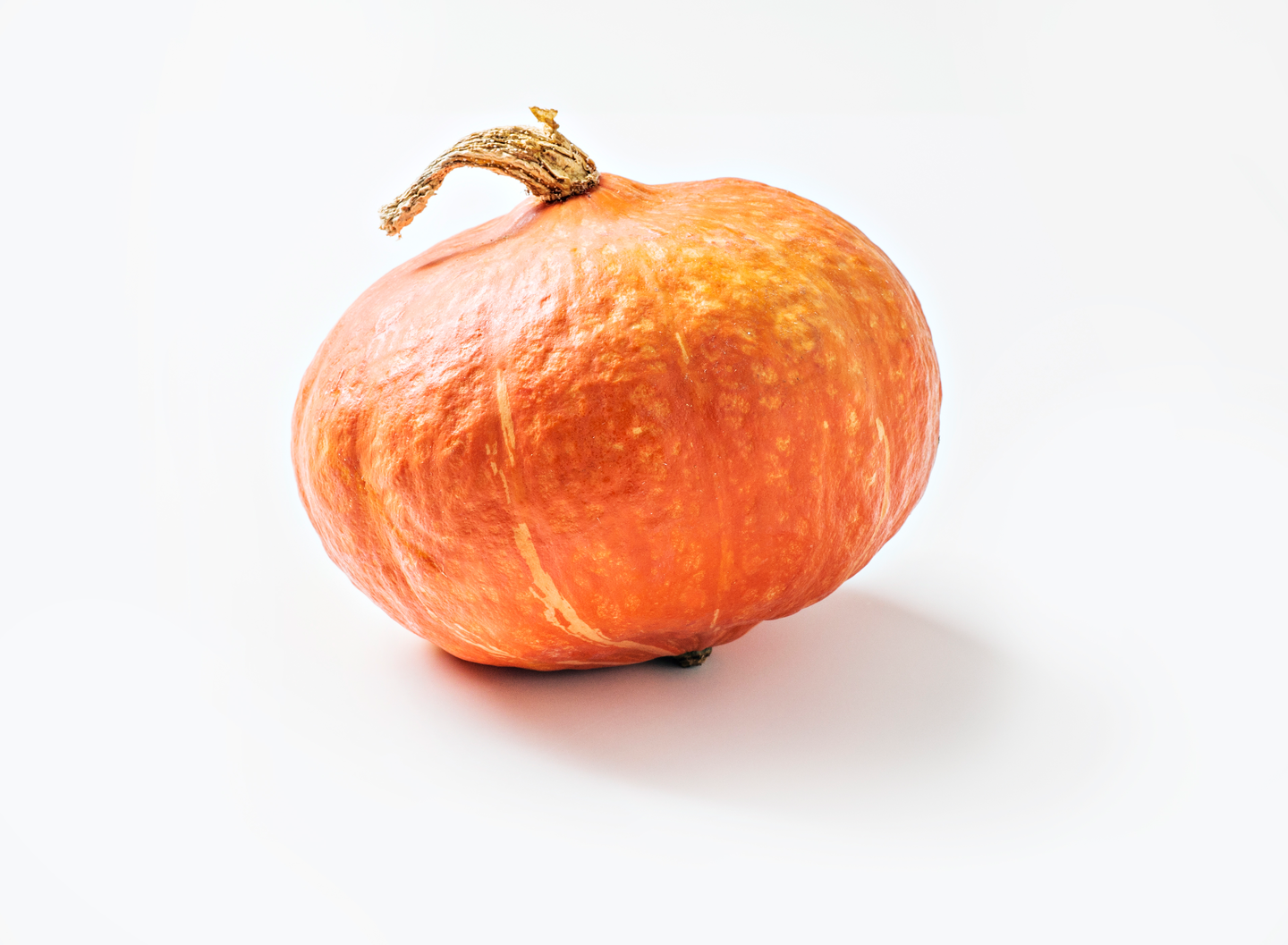 Hokkaido kurpitsa ulkomainen