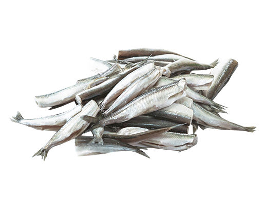 Eriksson perattu muikku