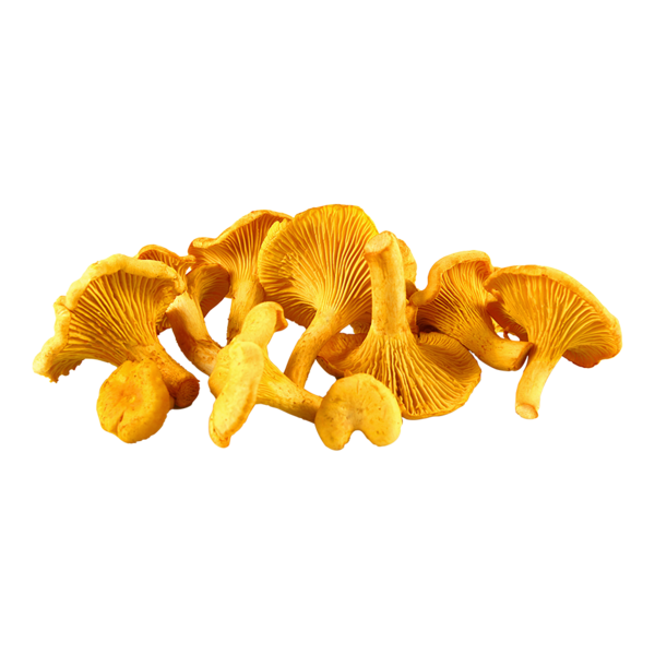 Francep kantarelli 3-5cm 1kg pakaste