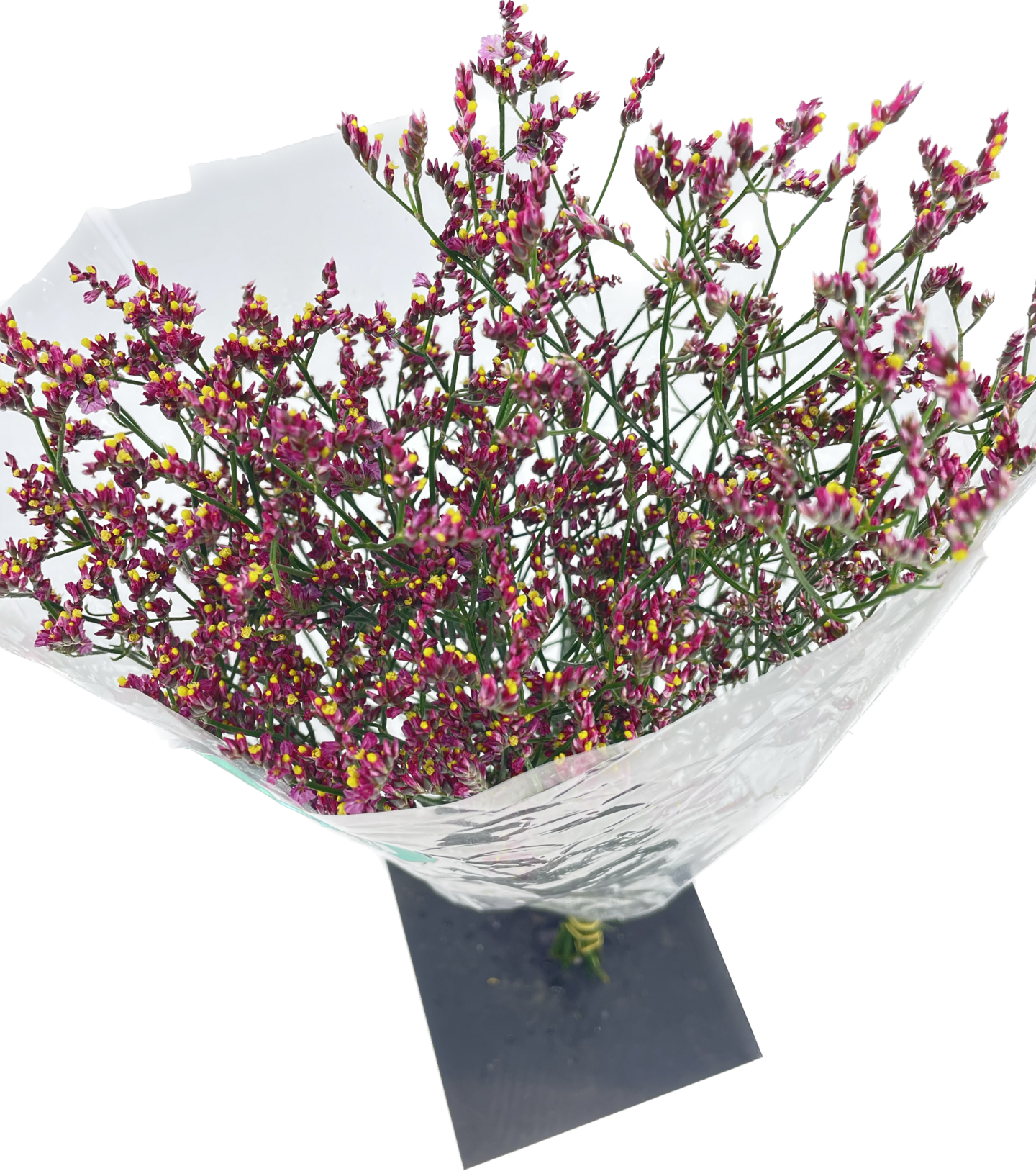 Pirkka Ota 3 maksa 2 Ikiviuhko