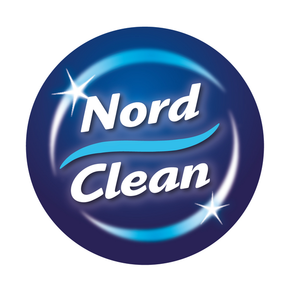 Nord Clean puhdistuskivi 300g