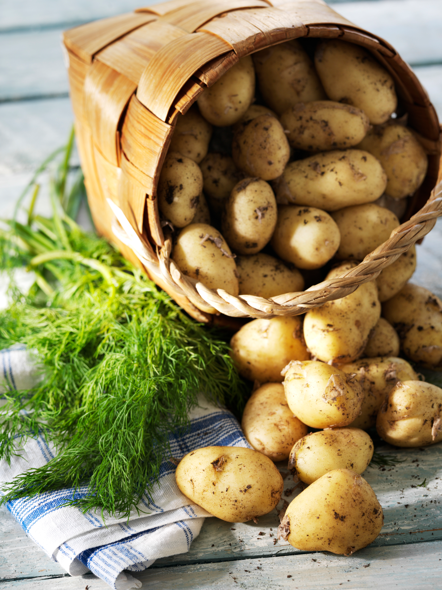 Maatilan pesty peruna 10kg 45-60mm FI