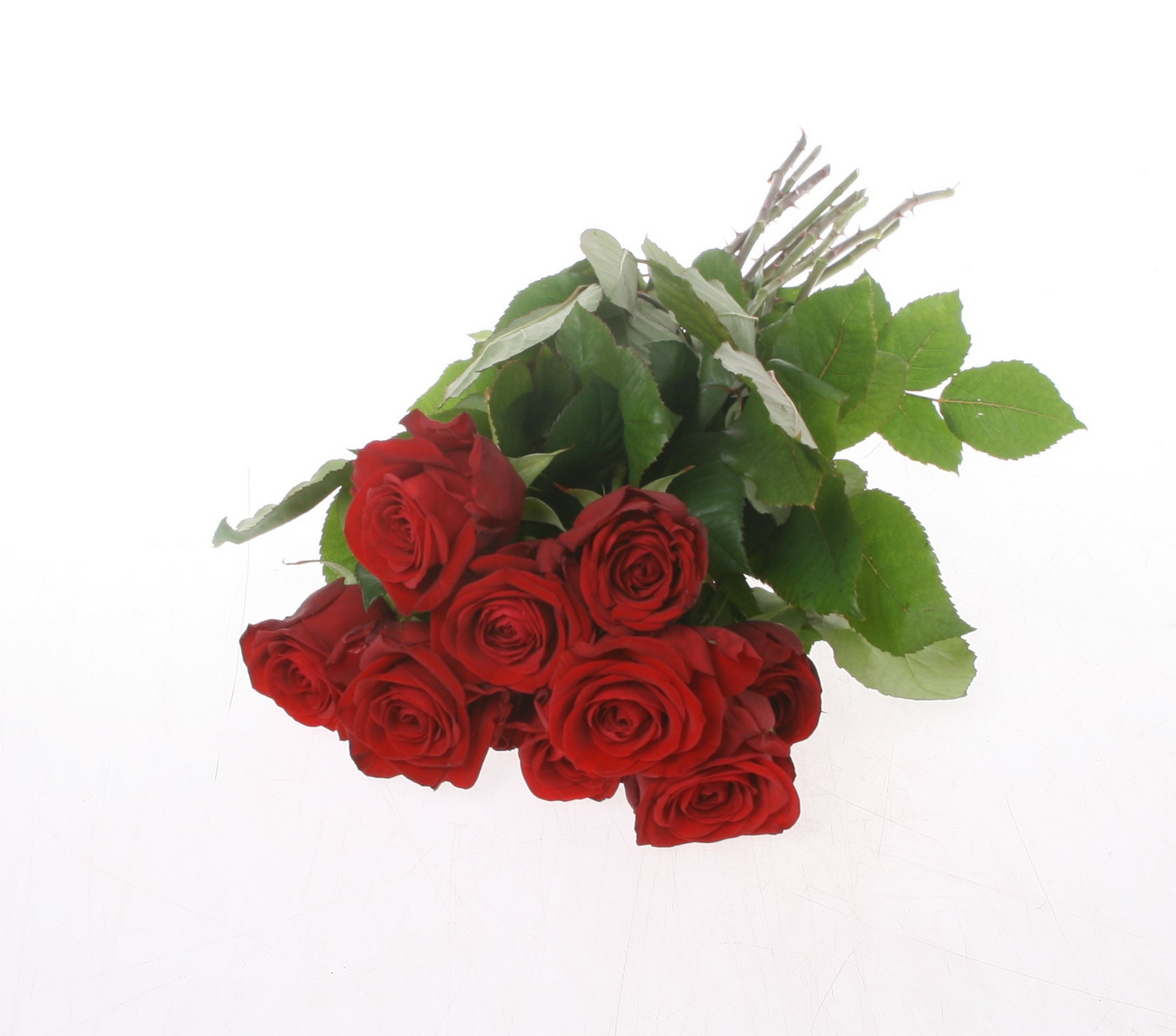 Punainen ruusunippu 50cm 10 kpl NL/KE