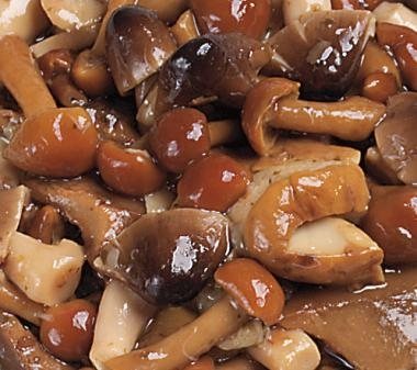 Alfichef sienilajitelma Misto Bosco 1000g säilykepussi