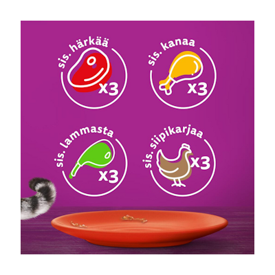 Whiskas 1+ perinteiset ateriat kastikkeessa 12x85g