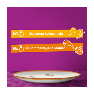 Whiskas 1+ Tasty Mix Täyteläiset herkut kastikkeessa 12x85g