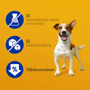 Pedigree Dentastix Small Monipakkaus 5x110g