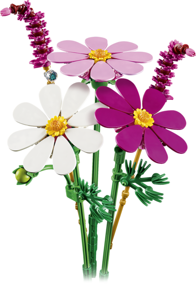 LEGO Botanicals 11514 Kosmoskukat
