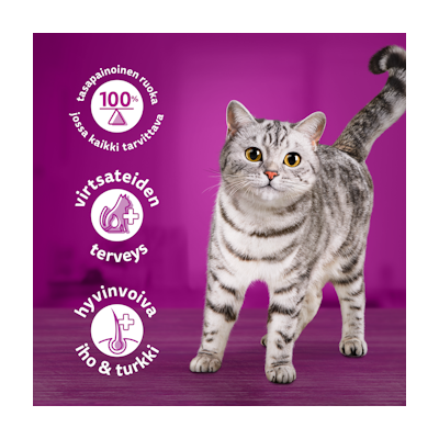 Whiskas kanaa kastikkeessa 400g