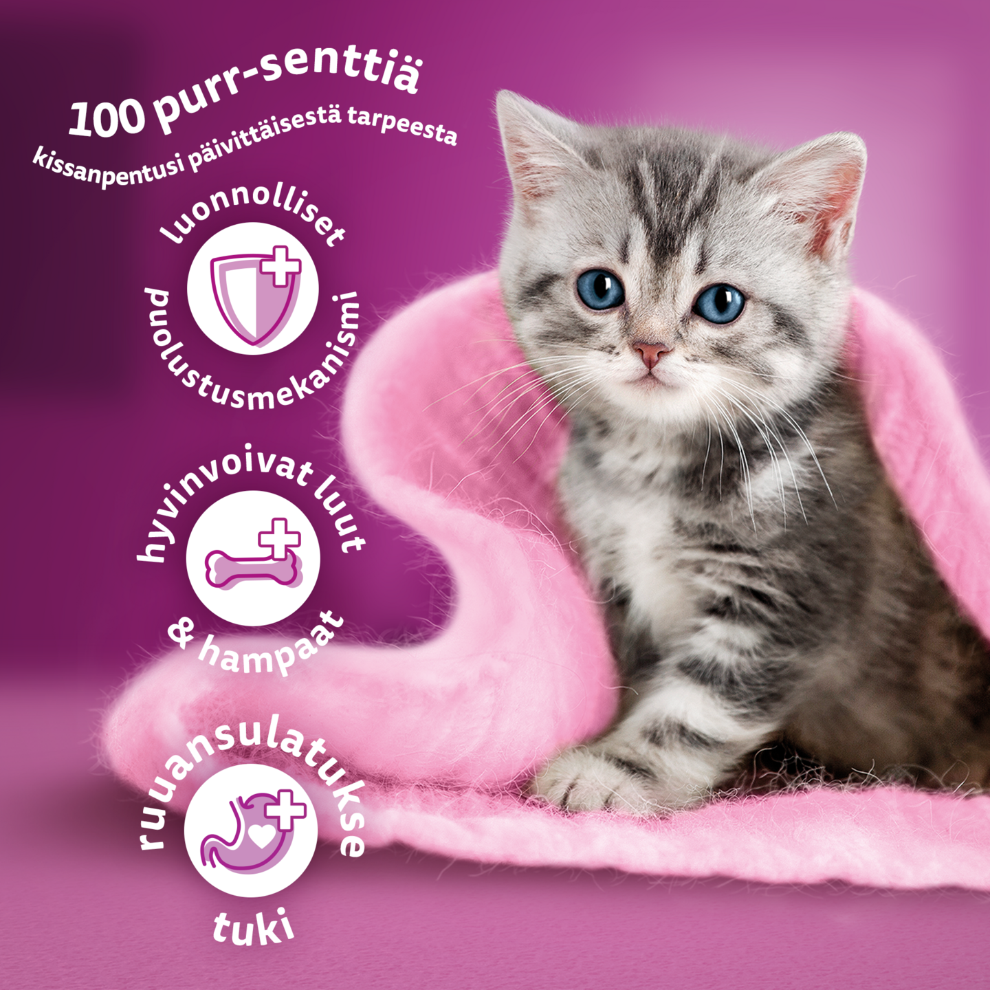 Whiskas Junior kanaa 800g