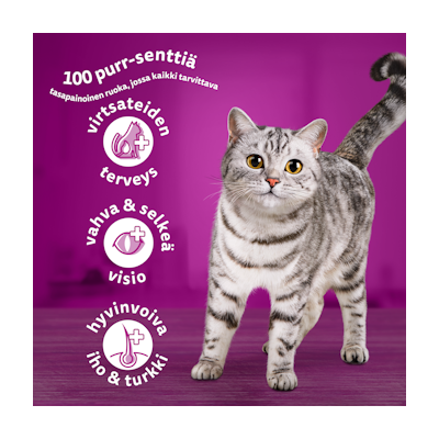 Whiskas 1+ kissan kuivaruoka 1,9kg härkä
