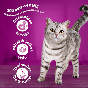 Whiskas 1+ Sterile kanaa 800g