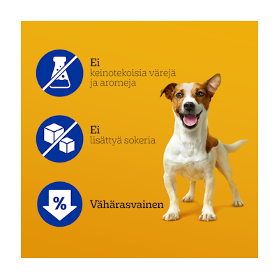 Pedigree Dentastix Small 110g