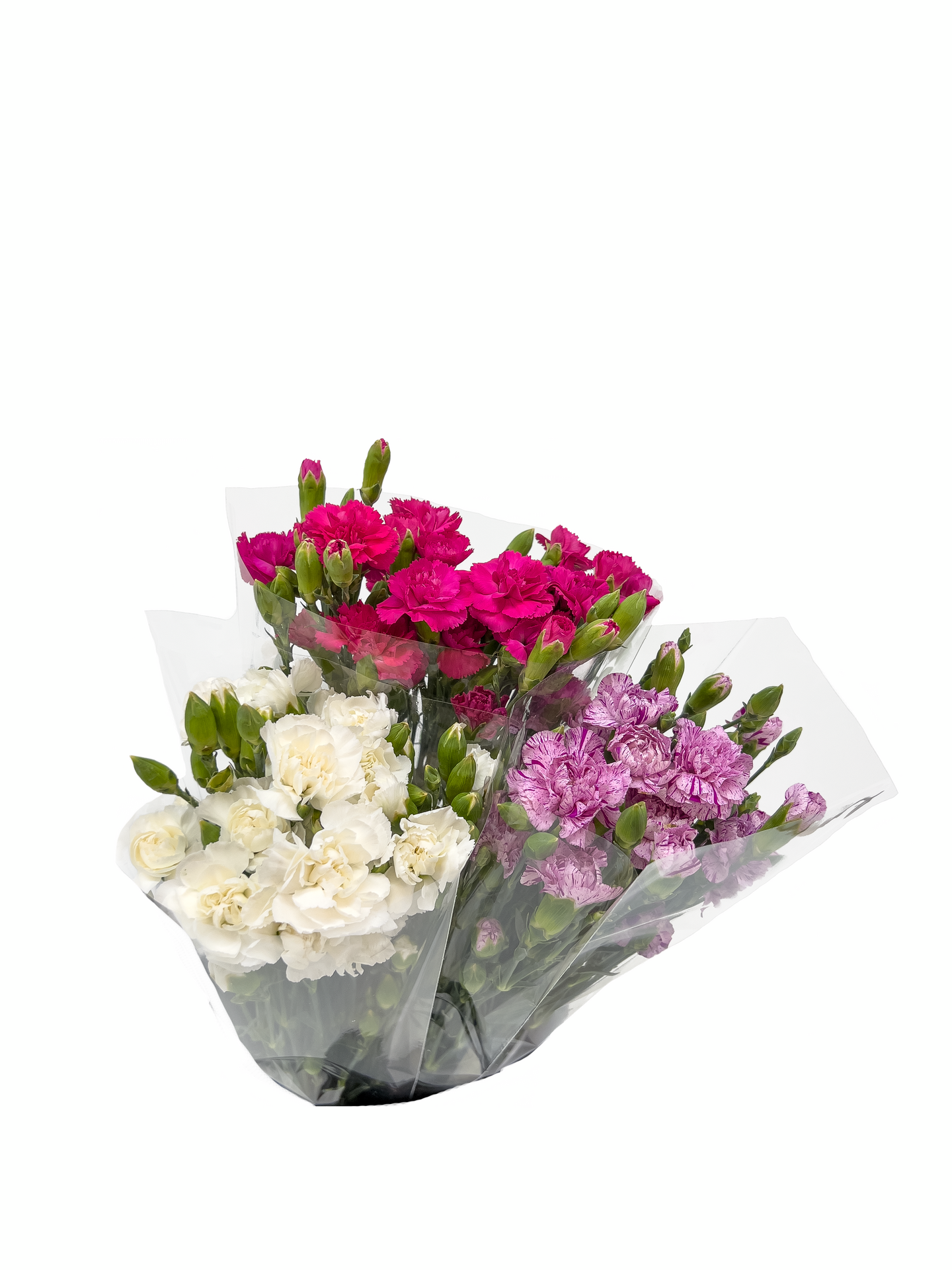 Terttuneilikka 10kpl kimppu Turkki