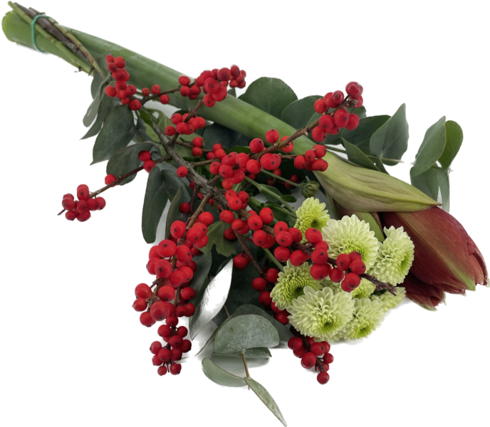 Amarylliskimppu Alankomaat