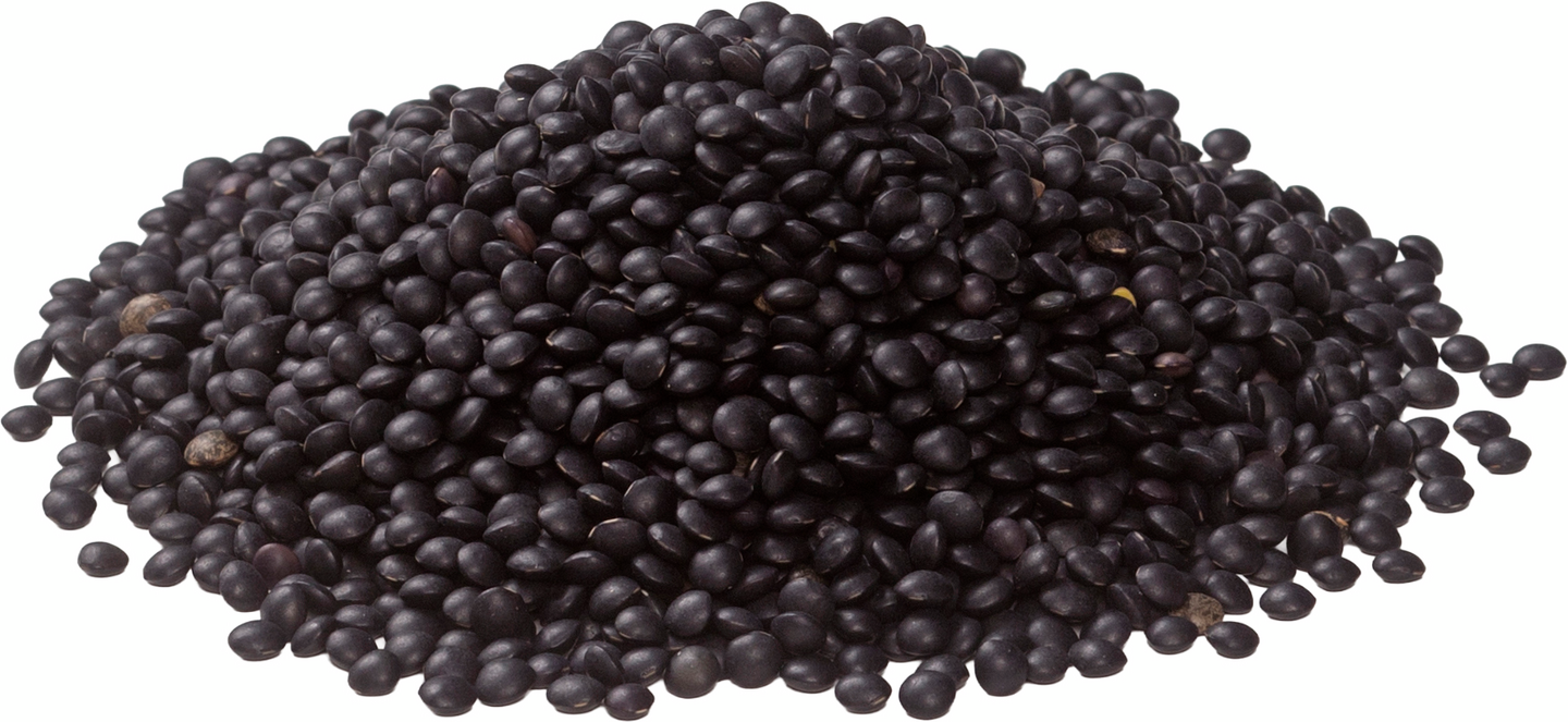 Menu belugalinssi 1kg