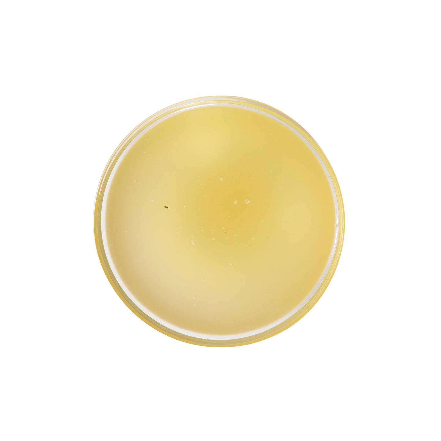 Menu kasvisliemijauhe 5kg/625l