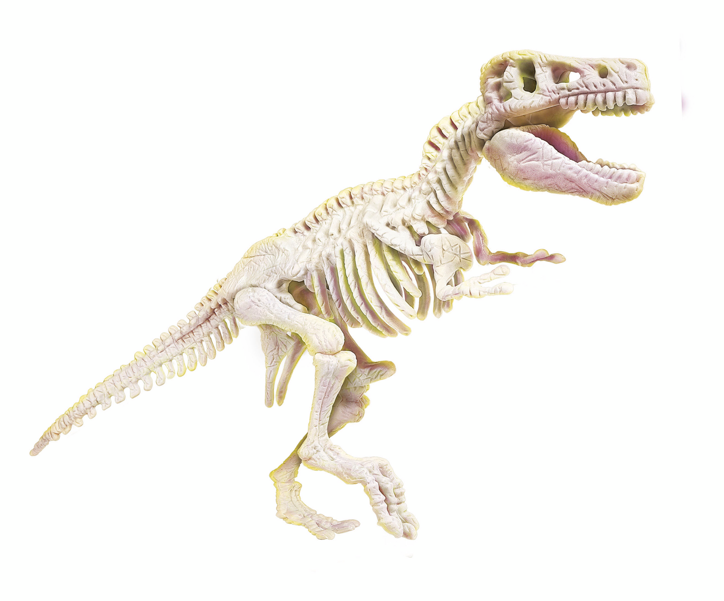 Clementoni Arche Fun -tiedesetti Tyrannosaurus Rex