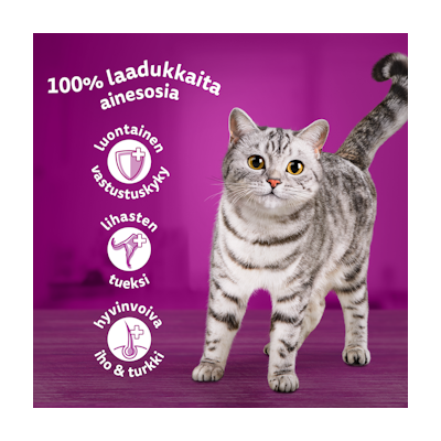 Whiskas 1+ perinteiset ateriat kastikkeessa 12x85g