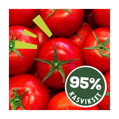 Dolmio Bolognese pastakastike Smooth Tomato 450g