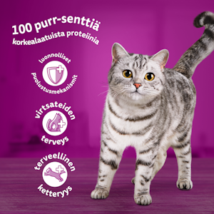 Whiskas 7+ perinteiset ateriat kastikkeessa 12x85g