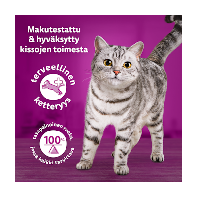 Whiskas 1+ Tasty Mix Täyteläiset herkut kastikkeessa 12x85g