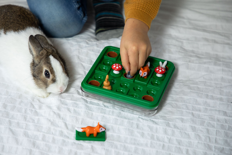 SmartGames Jump In peli