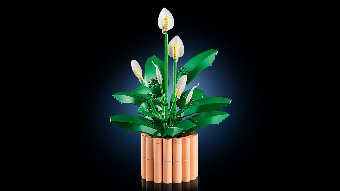 LEGO Botanicals 11504 Viirivehka