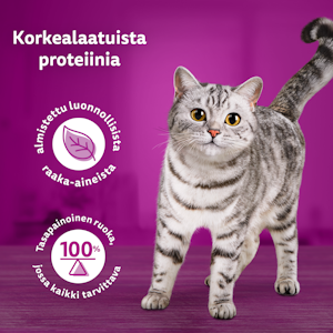 Whiskas 1+ Pure Delight meheviä suikaleita hyytelössä 12x85g