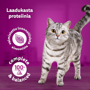 Whiskas 1+ Pure Delight valitut suikaleet hyytelössä 12x85g