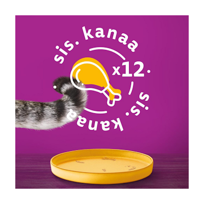 Whiskas kanaa kastikkeessa 400g