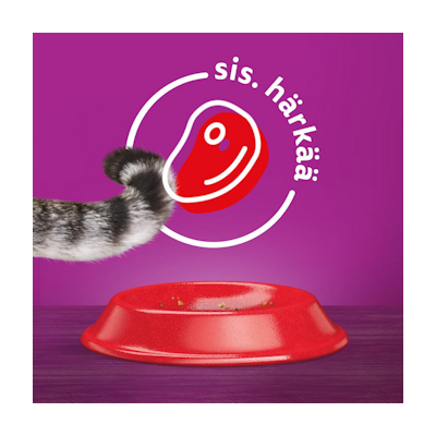 Whiskas 1+ kissan kuivaruoka 1,9kg härkä
