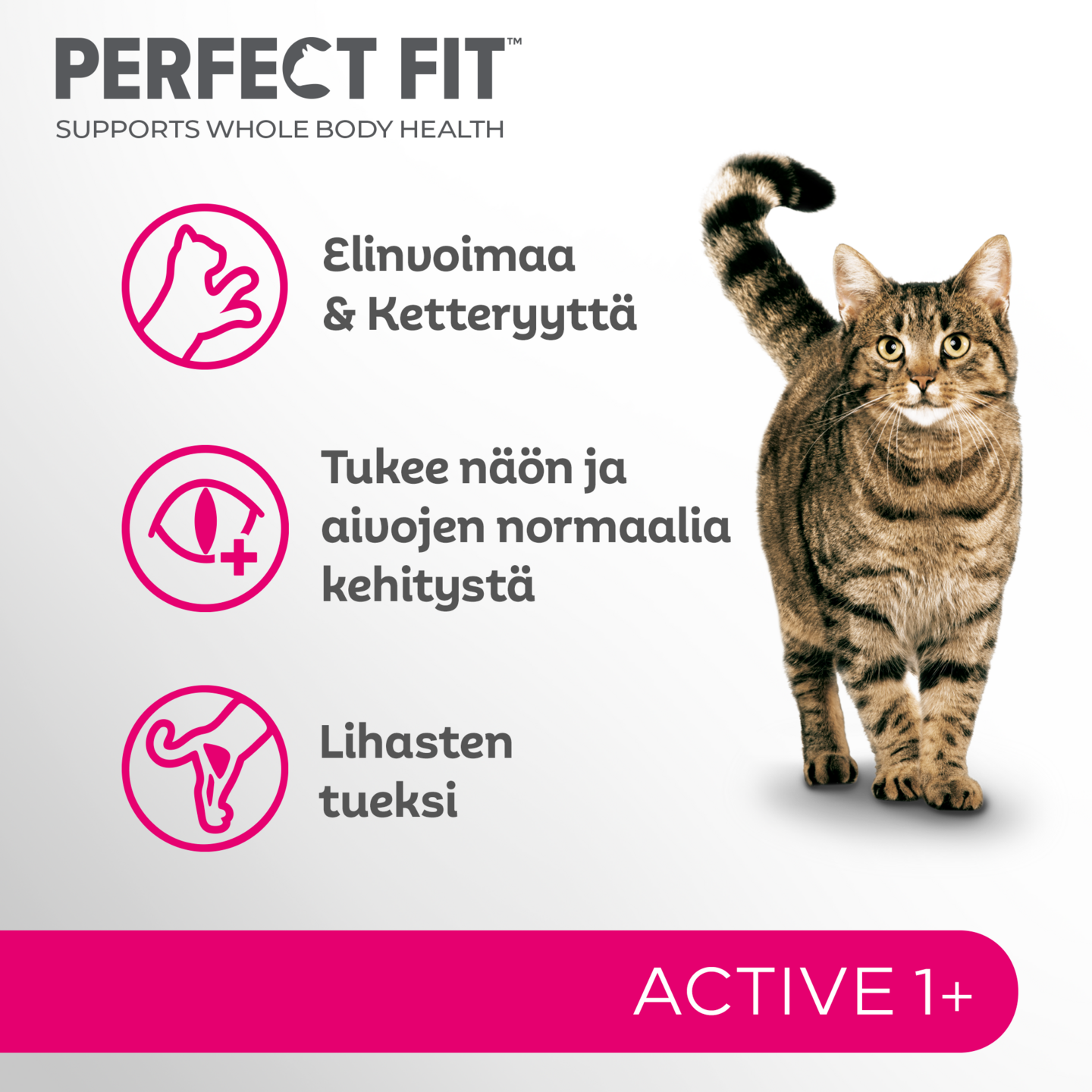 Perfect Fit Adult Active 1+ härkä 750g