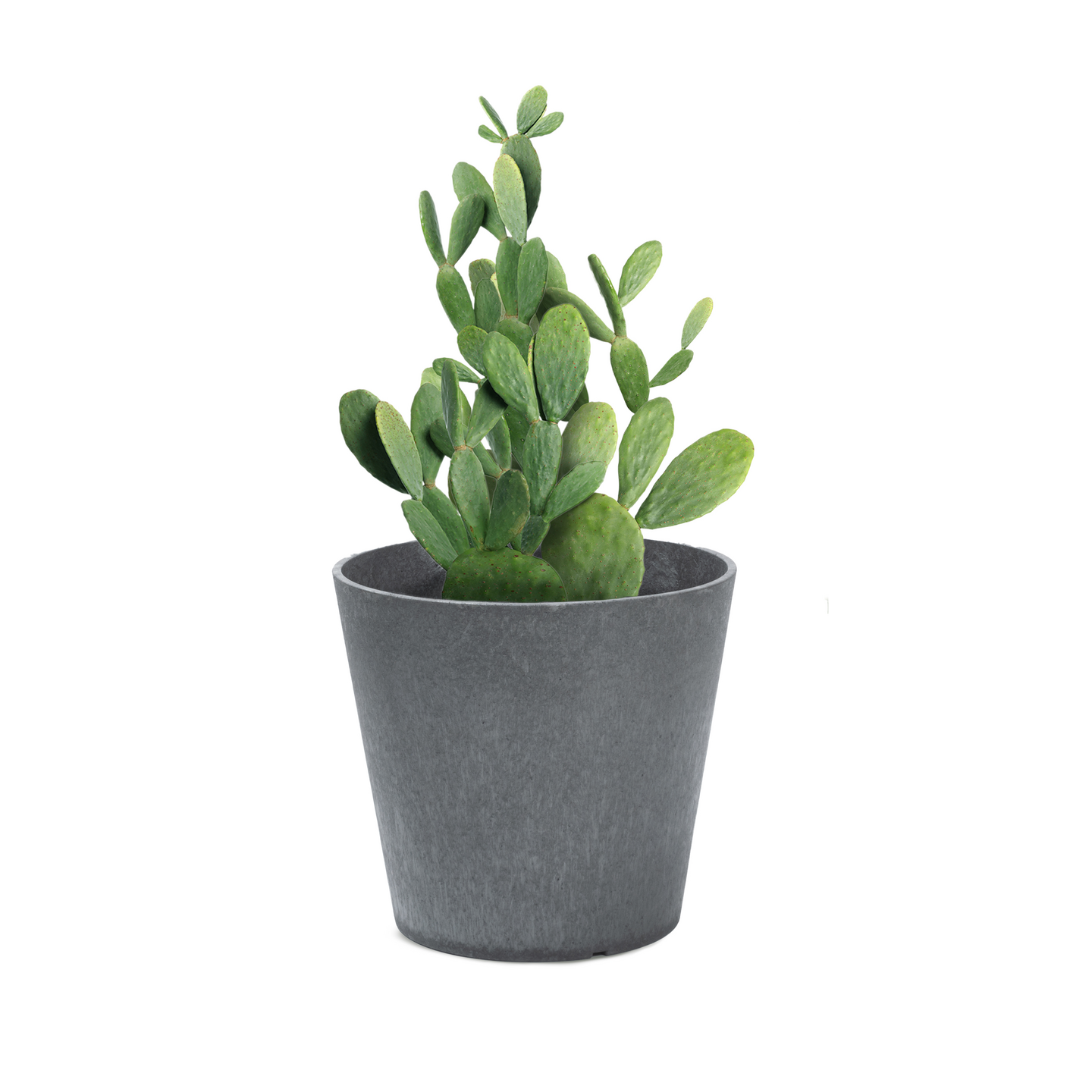 Multyhome Octavia ruukku harmaa 28 cm