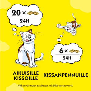 Dreamies Kissanminttu 60g kissanherkku