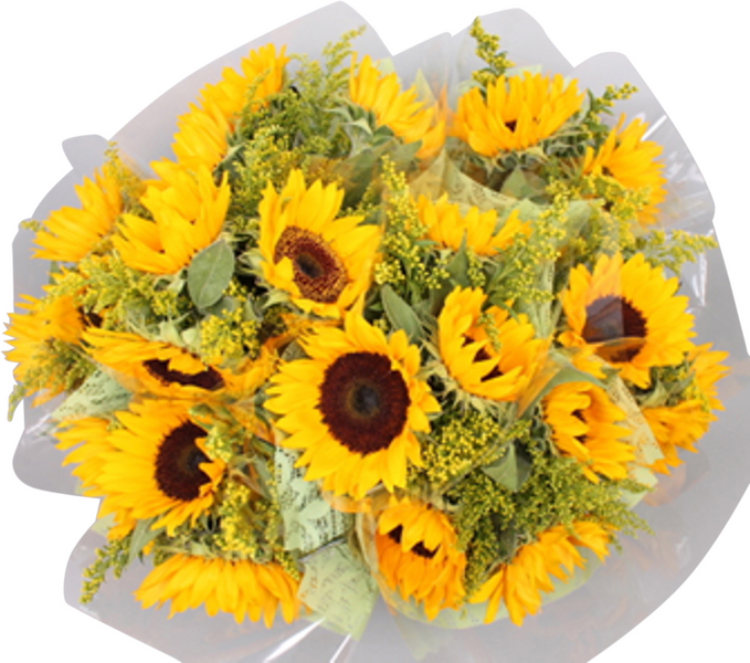 Pirkka Auringonkukkakimppu Alankomaat