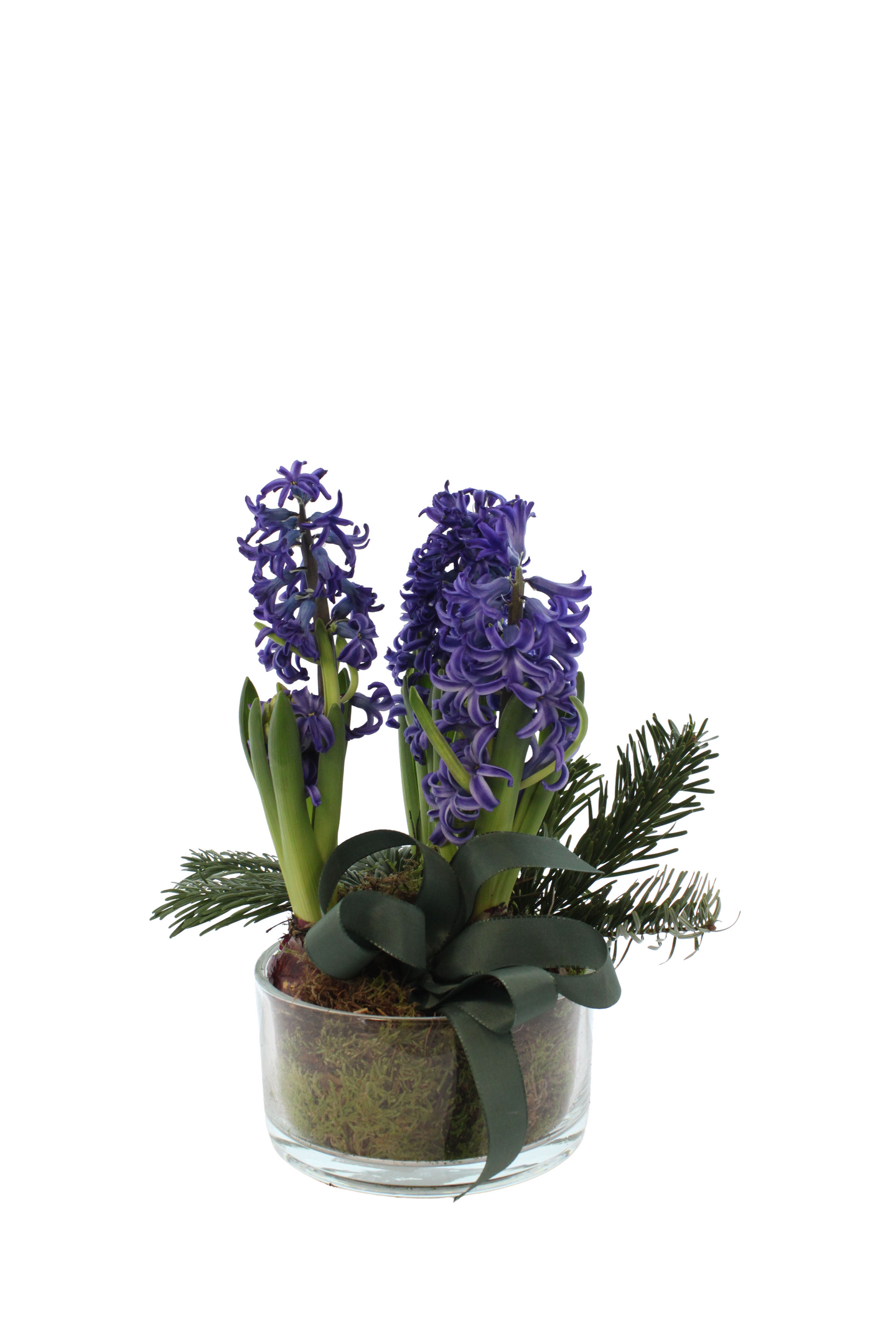 Jouluasetelma nro 9 Suomi